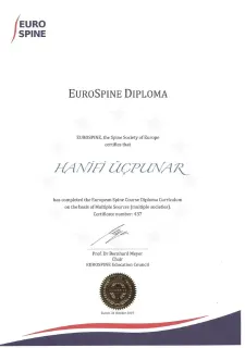 Prof. Dr. Hanifi Üçpunar profilinde yer alan galeri fotoğrafı.