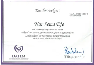 Uzm. Psk. Nur Sema Efe profilinde yer alan galeri fotoğrafı.