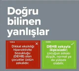 Doç. Dr. Canan Kuygun Karcı profilinde yer alan galeri fotoğrafı.