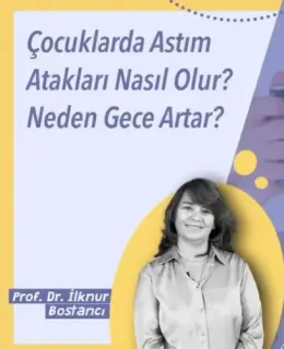 Prof. Dr. İlknur Bostancı profilinde yer alan galeri fotoğrafı.