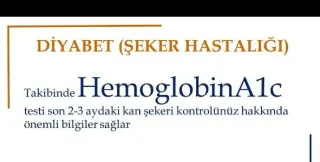 Prof. Dr. Mustafa Sait Gönen profilinde yer alan galeri fotoğrafı.