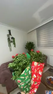 Kl. Psk. Sedanur Güzelce profilinde yer alan galeri fotoğrafı.