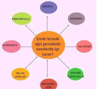 Kl. Psk. Fatma Aktaş profilinde yer alan galeri fotoğrafı.