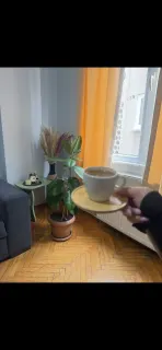Psk. Yaren Yıldız profilinde yer alan galeri fotoğrafı.