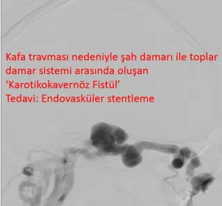 Doç. Dr. Fatih Yakar profilinde yer alan galeri fotoğrafı.