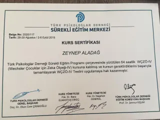 Psk. Zeynep Aladağ profilinde yer alan galeri fotoğrafı.