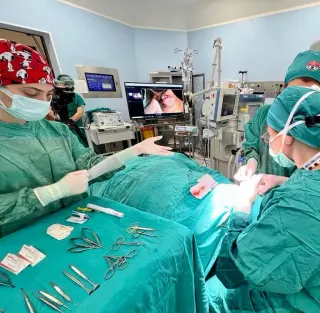 Prof. Dr. Pelin Kaynak profilinde yer alan galeri fotoğrafı.