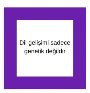 Dkt. Berra Akkoz profilinde yer alan galeri fotoğrafı.