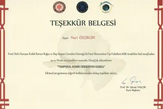 Prof. Dr. Nuri Özgirgin profilinde yer alan galeri fotoğrafı.
