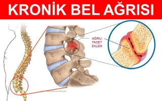 Prof. Dr. Mehmet Arif Yeğin profilinde yer alan galeri fotoğrafı.