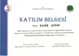 Dyt. Kadir Gezen profilinde yer alan galeri fotoğrafı.