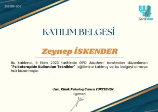 Psk. Zeynep İskender profilinde yer alan galeri fotoğrafı.