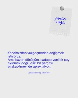 Psk. Alkım Avcı profilinde yer alan galeri fotoğrafı.