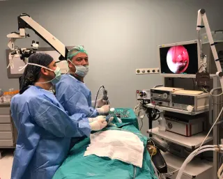 Prof. Dr. Ali Özdek profilinde yer alan galeri fotoğrafı.