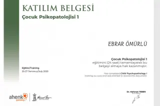 Psk. Ebrar Ömürlü profilinde yer alan galeri fotoğrafı.