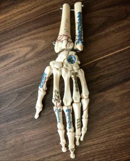 Op. Dr. Ahmet Savran profilinde yer alan galeri fotoğrafı.