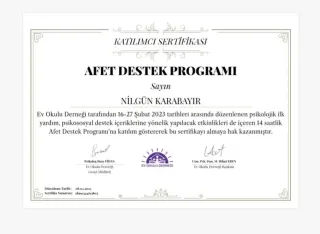 Psk. Nilgün Karabayır profilinde yer alan galeri fotoğrafı.