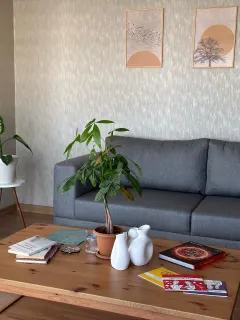 Kl. Psk. Sağra Gürbüz Ergün profilinde yer alan galeri fotoğrafı.