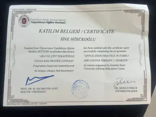 Psk. Sine Hösükoğlu profilinde yer alan galeri fotoğrafı.