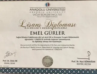 Dkt. Emel Gürler profilinde yer alan galeri fotoğrafı.