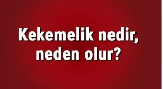 Dkt. Fahri Uslu profilinde yer alan galeri fotoğrafı.