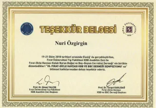 Prof. Dr. Nuri Özgirgin profilinde yer alan galeri fotoğrafı.