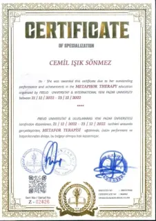 Uzm. Dr. Cemil Işık Sönmez profilinde yer alan galeri fotoğrafı.