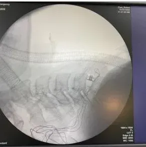 Op. Dr. Mehmet Uluçay profilinde yer alan galeri fotoğrafı.