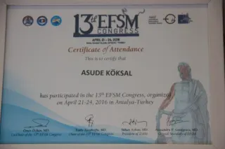 Op. Dr. Asude Köksal profilinde yer alan galeri fotoğrafı.