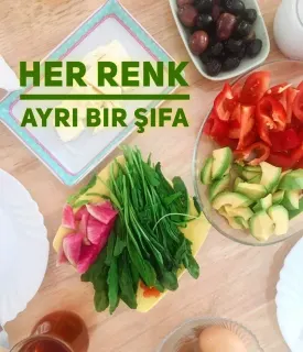 Dyt. Safiye Aslanoğlu profilinde yer alan galeri fotoğrafı.