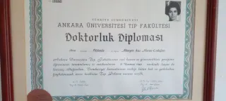 Prof. Dr. Nuran Gürses profilinde yer alan galeri fotoğrafı.