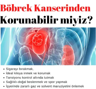 Prof. Dr. Hakkı Perk profilinde yer alan galeri fotoğrafı.