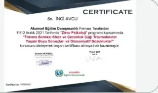 Psk. İnci Avcu profilinde yer alan galeri fotoğrafı.