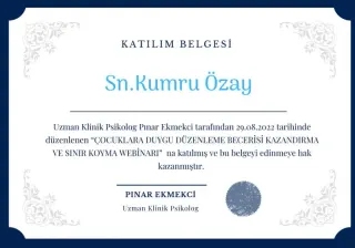 Psk. Kumru Özay profilinde yer alan galeri fotoğrafı.