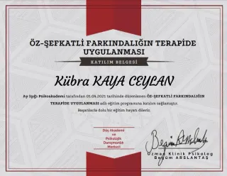 Psk. Kübra Kaya Ceylan profilinde yer alan galeri fotoğrafı.