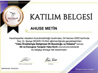 Dkt. Ahuse Metin profilinde yer alan galeri fotoğrafı.