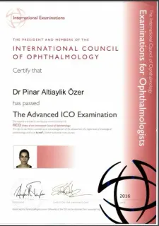 Prof. Dr. Pınar Altıaylık Özer profilinde yer alan galeri fotoğrafı.