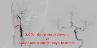 Doç. Dr. Fatih Yakar profilinde yer alan galeri fotoğrafı.
