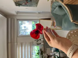 Psk. Şule Lütfiye Kıvrak profilinde yer alan galeri fotoğrafı.
