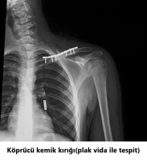 Op. Dr. Javid M. Azarabadı profilinde yer alan galeri fotoğrafı.