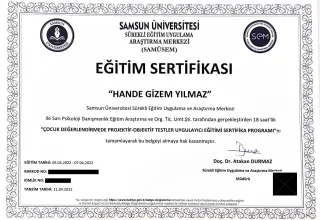 Kl. Psk. Hande Gizem Yılmaz profilinde yer alan galeri fotoğrafı.