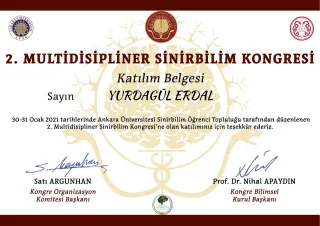 Dkt. Yurdagül Erdal profilinde yer alan galeri fotoğrafı.