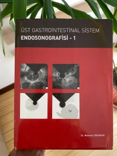 Prof. Dr. Mehmet Cindoruk profilinde yer alan galeri fotoğrafı.