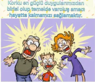 Uzm. Dr. Günseli Yavaş Alpay profilinde yer alan galeri fotoğrafı.