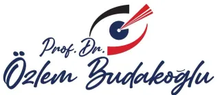 Prof. Dr. Özlem Budakoğlu profilinde yer alan galeri fotoğrafı.