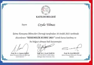 Dkt. Ceyda Yılmaz profilinde yer alan galeri fotoğrafı.