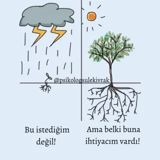 Psk. Şule Lütfiye Kıvrak profilinde yer alan galeri fotoğrafı.