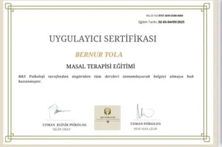 Psk. Bernur Tola profilinde yer alan galeri fotoğrafı.