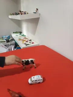Merve Yiğit profilinde yer alan galeri fotoğrafı.