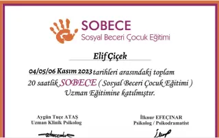 Psk. Elif Çiçek profilinde yer alan galeri fotoğrafı.